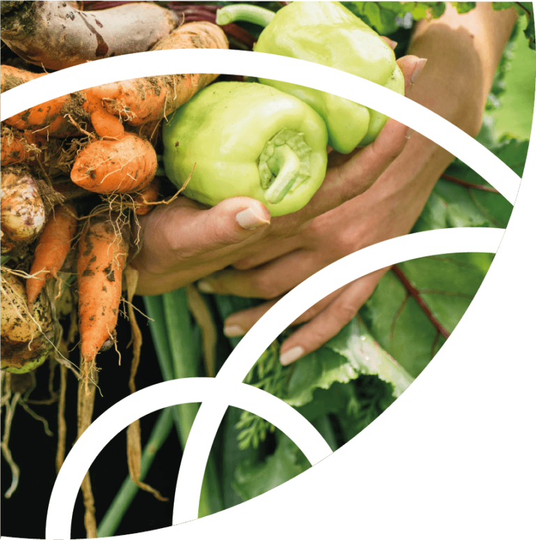 Lire la suite à propos de l’article 7.2 Développer des filières agro-alimentaire durables