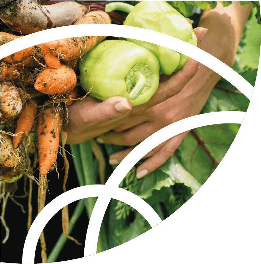 Lire la suite à propos de l’article 7.3 Favoriser la consommation durable et l’accès pour tous à une alimentation de qualité